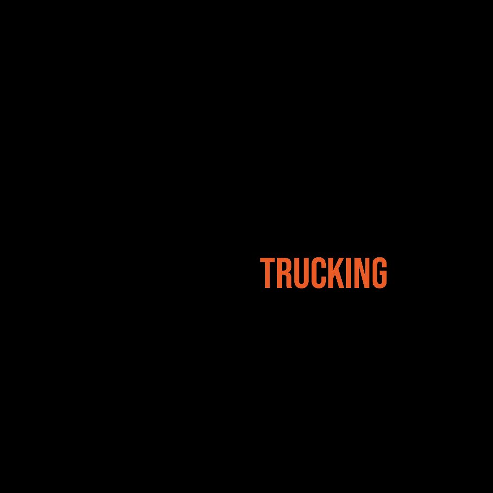 Mntungwa Trucking transport provider in Rondebult profile image