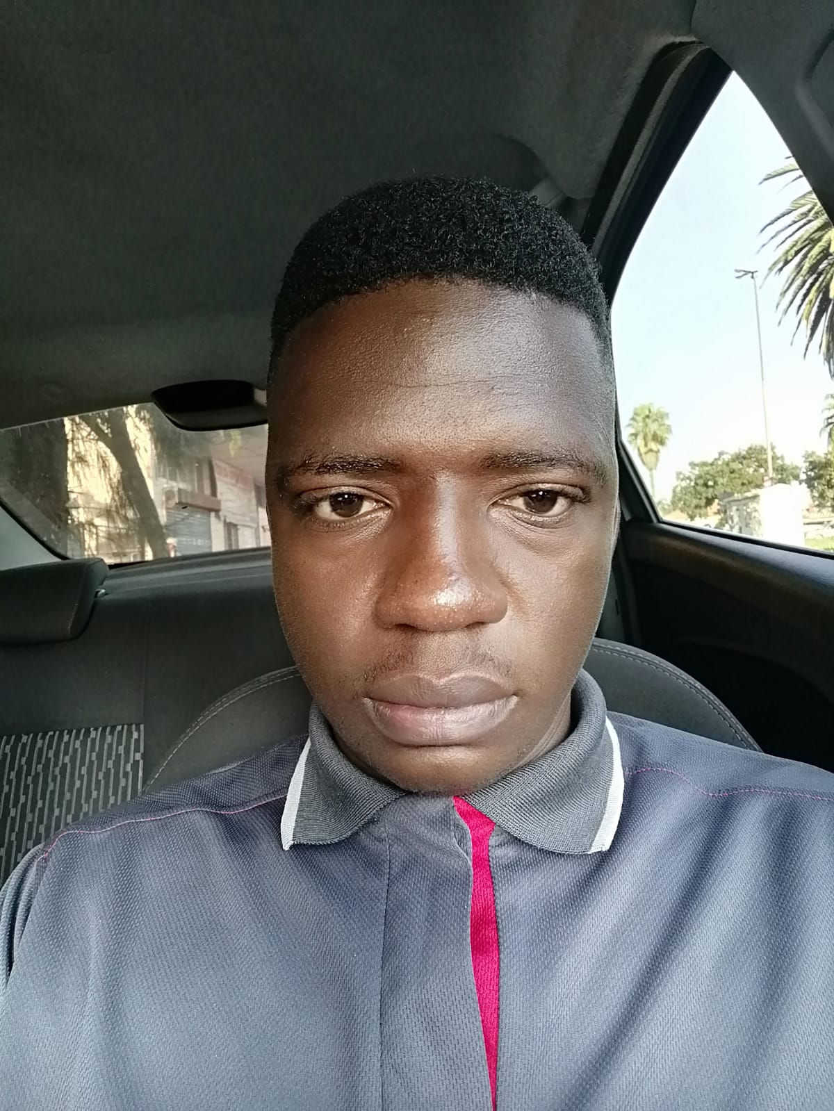 Selby Transportation And Logis transport provider in Germiston profile image